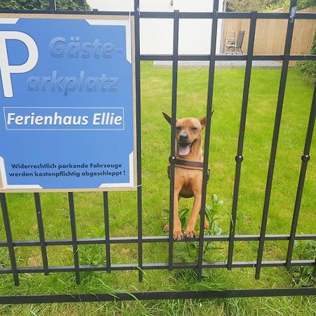 Ferienhaus Ellie 哈夫克鲁格 外观 照片