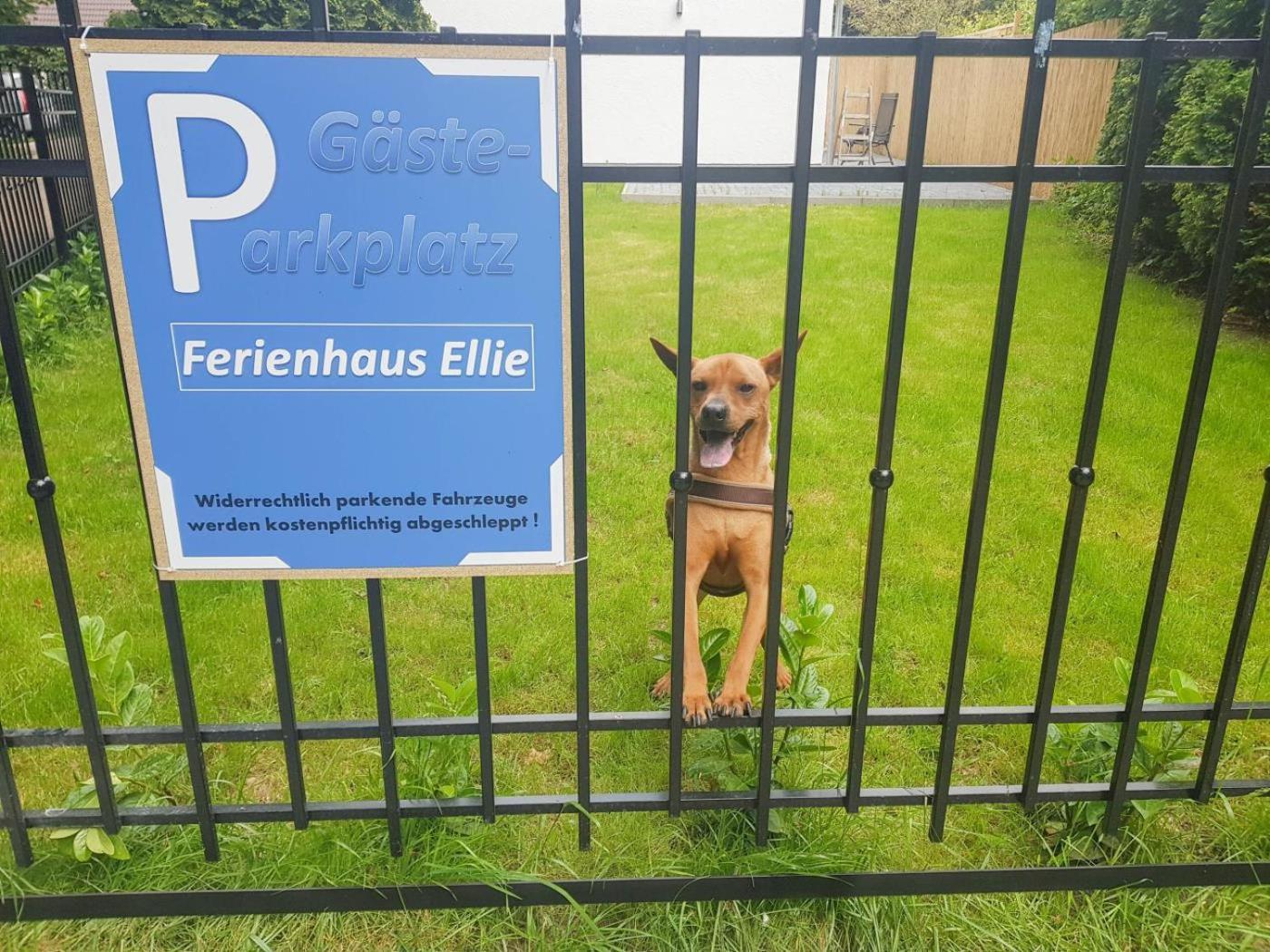 Ferienhaus Ellie 哈夫克鲁格 外观 照片